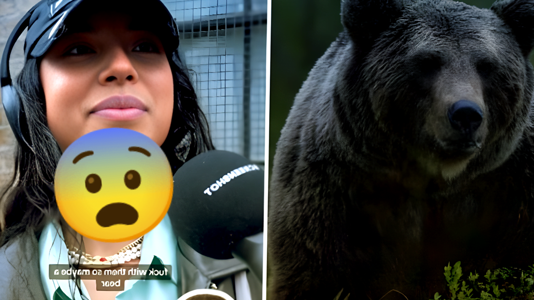 Le donne scelgono tra uomo e orso su TikTok: la risposta che ha acceso una polemica accesissima!